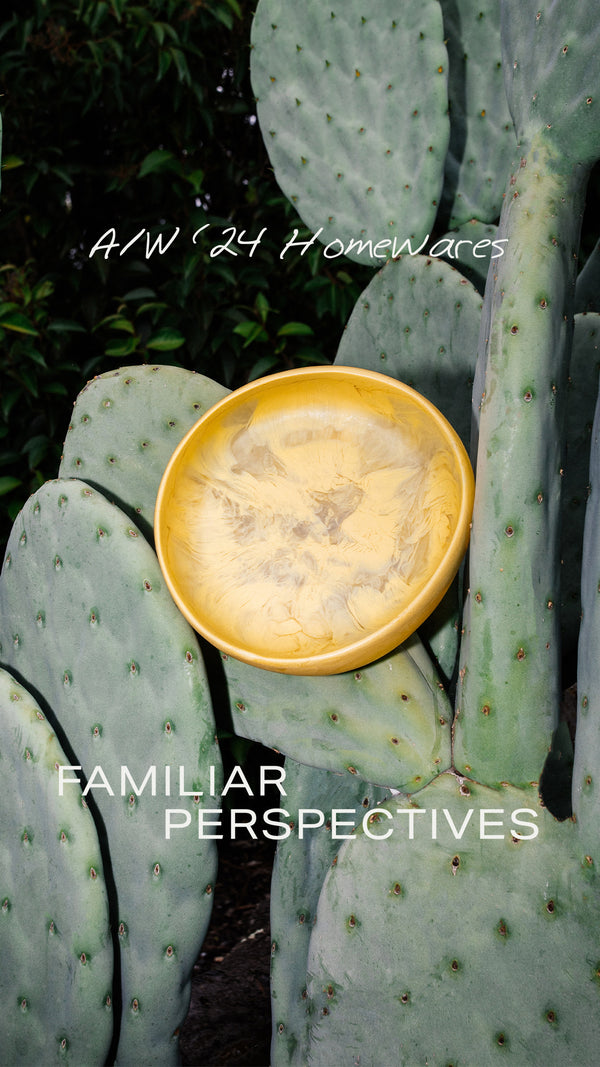 Familiar Perspective Part 2 Homepage Banner 03